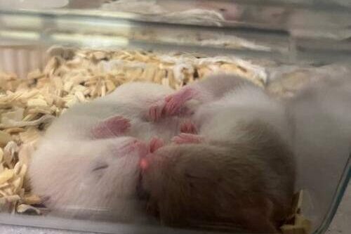 photo_2026-03-28_14-27-51